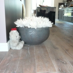 Cabin-Oak-2